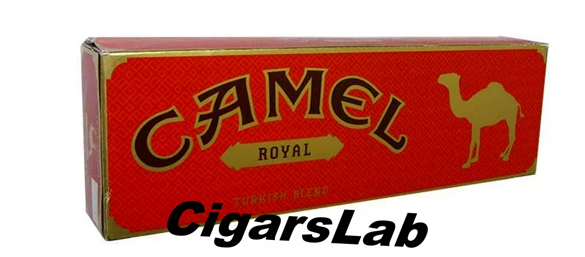 Camel Turkish Royal