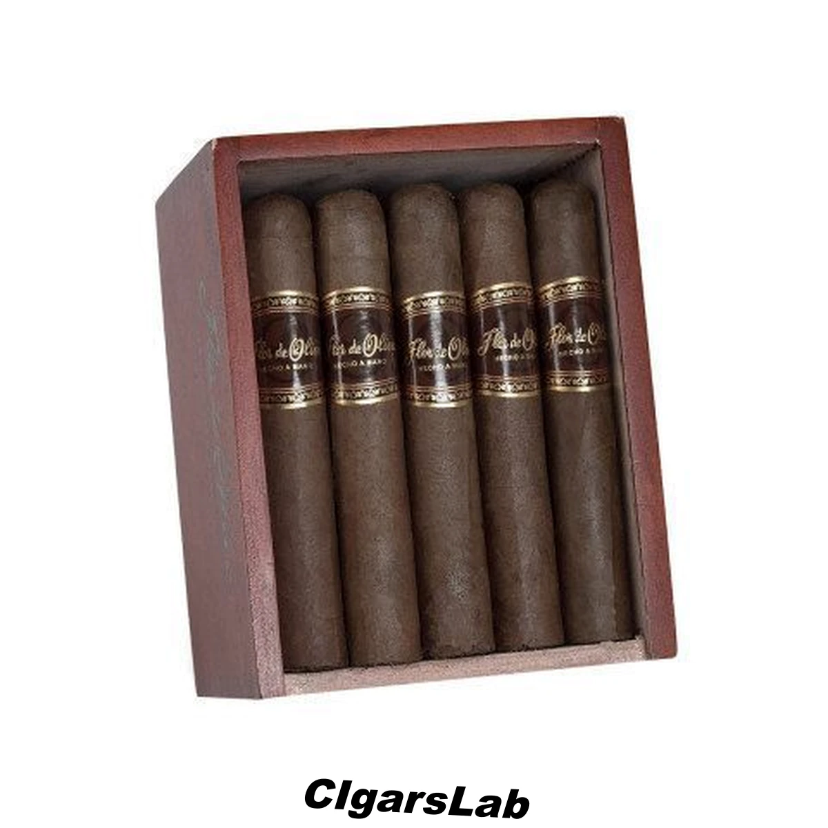 Flor De Oliva Robusto