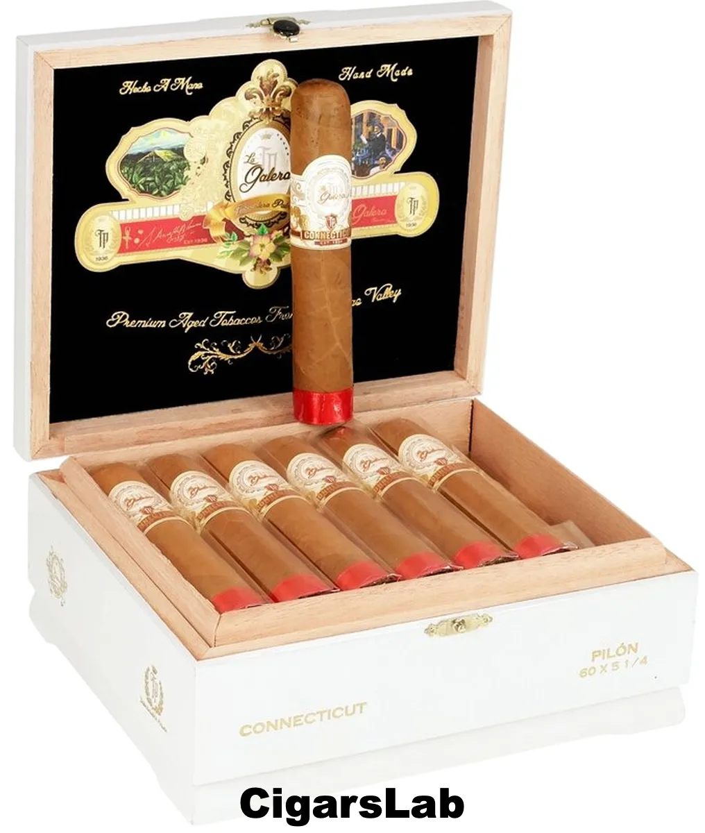 La Galera Connecticut Pilon Short Gordo