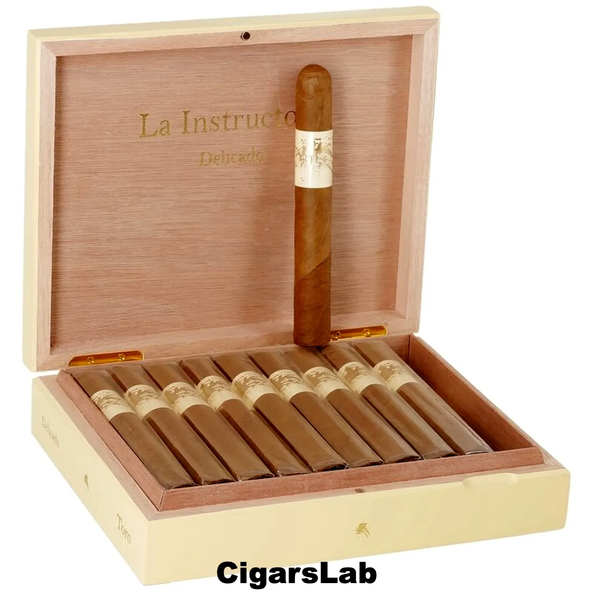 La Instructora Delicado Toro