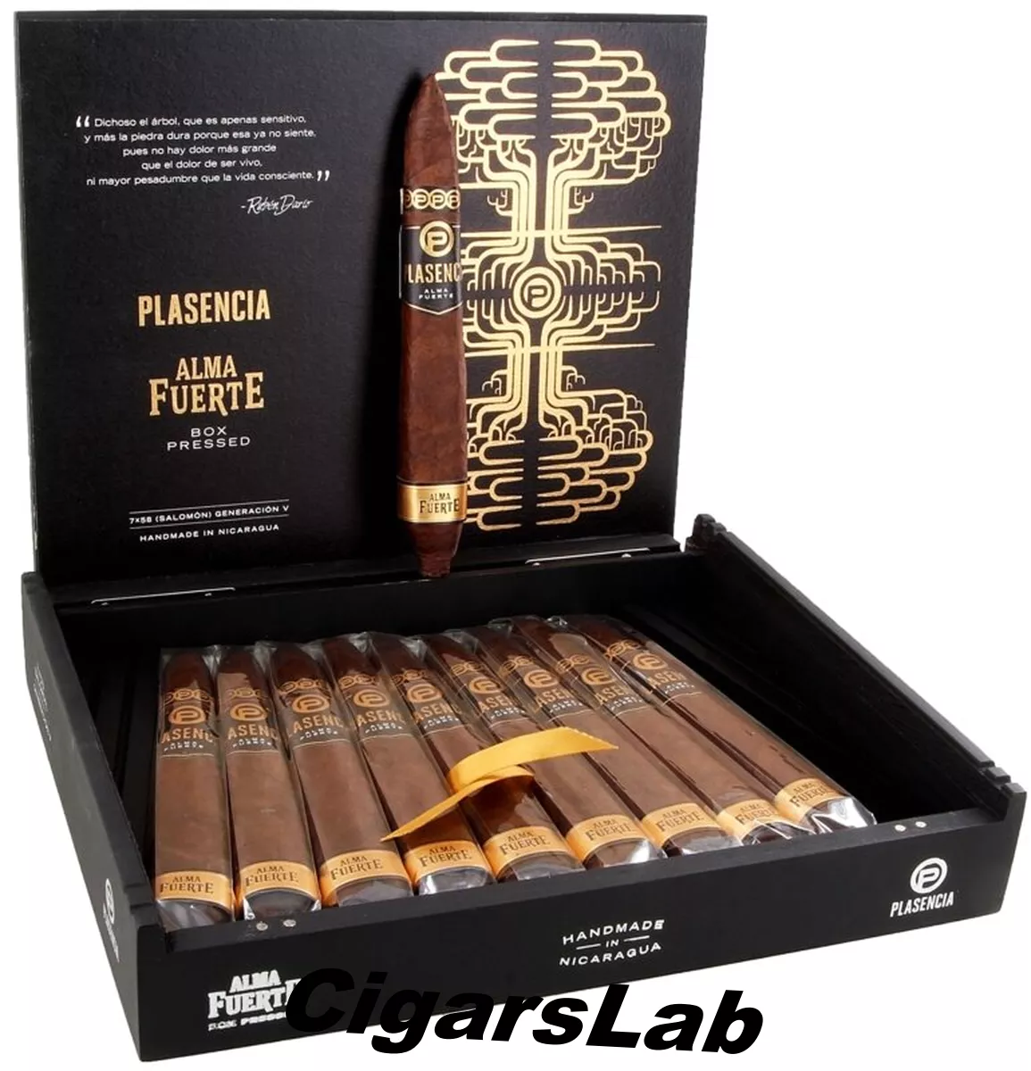 Plasencia Alma Fuerte Generacion V Salomon