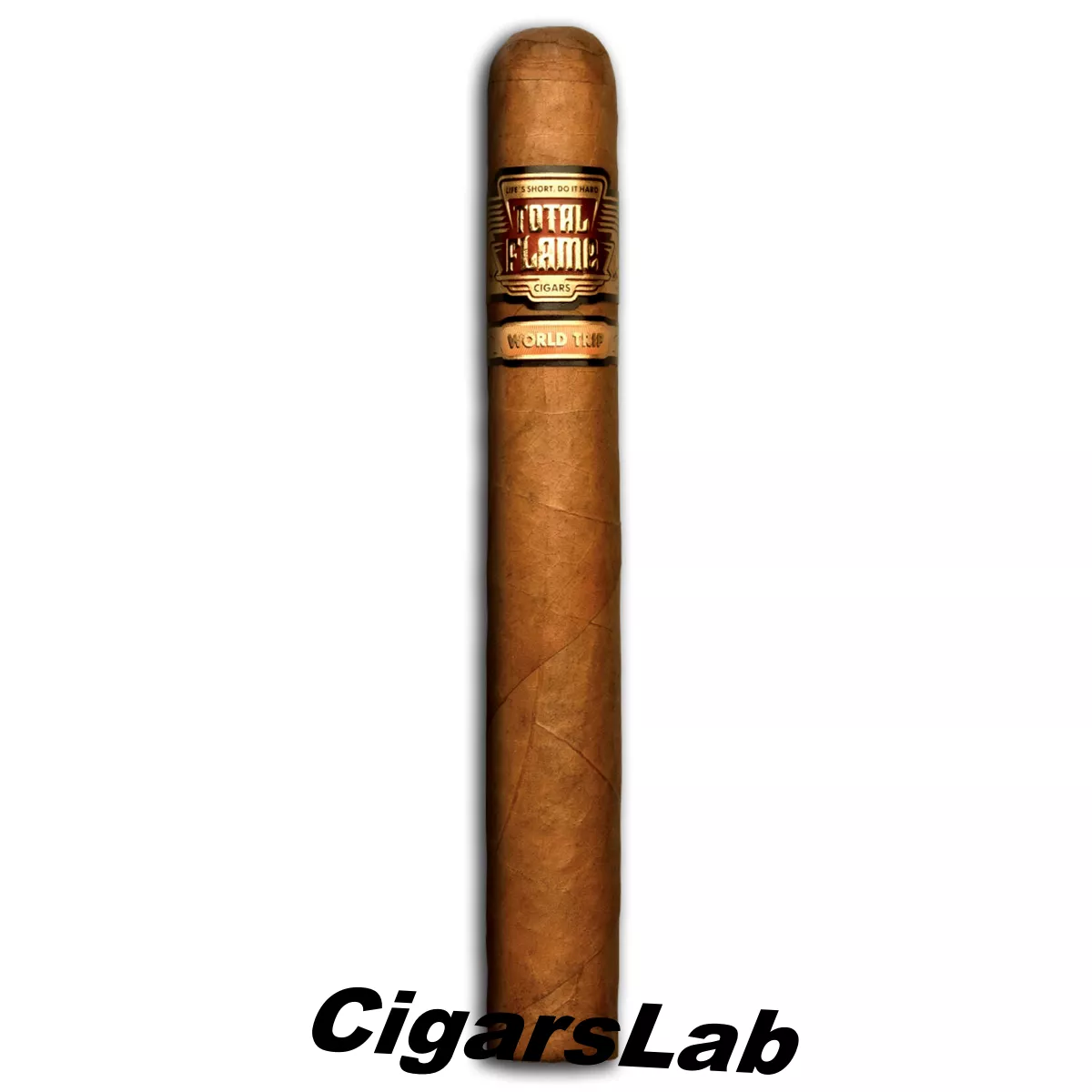 Bright Line World Trip